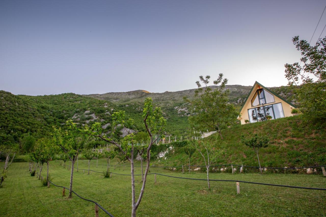 Cozy House Ostrog Guest House Niksic Ngoại thất bức ảnh